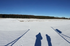 2015-01-06-0003