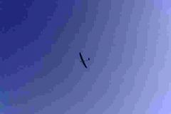 H05010