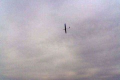 H05040
