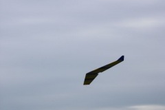 2007-03-18-0019