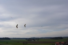 2007-03-18-0065