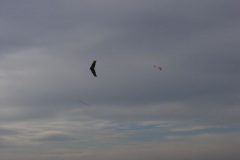 2007-03-18-0078