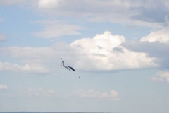 2009-04-19-0013