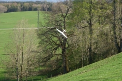 2009-04-19-0042