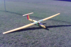 P05005