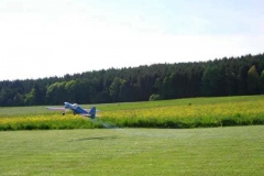 P052005-05-20-0017