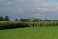 2008-08-09-00033
