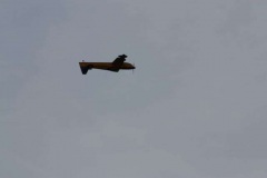2009-08-08-0043
