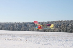 2010-12-04-0017