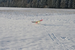 2010-12-04-0044