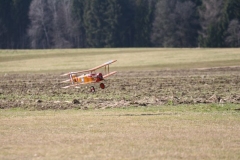 2012-03-17-0012