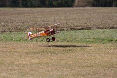 2012-03-17-0013