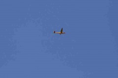 2012-03-25-0050
