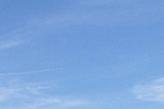 2013-08-18-0005
