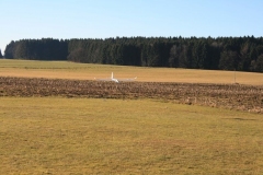 2013-12-31-0052