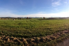 2014-11-09-0002
