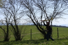 2015-04-19-0002