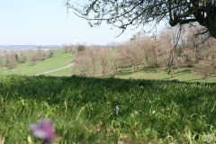 2015-04-19-0005