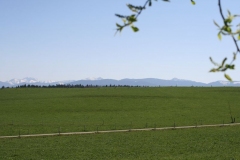 2015-04-19-0006