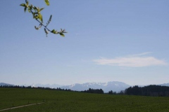 2015-04-19-0007