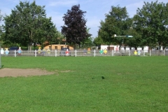 2009-08-08-0036