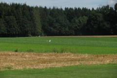 Jugendprogramm072
