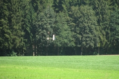 Jugendprogramm075