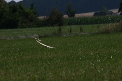 2015-08-08-0072
