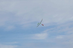 DSC07994